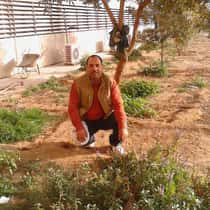tamer