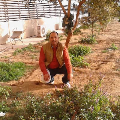 tamer