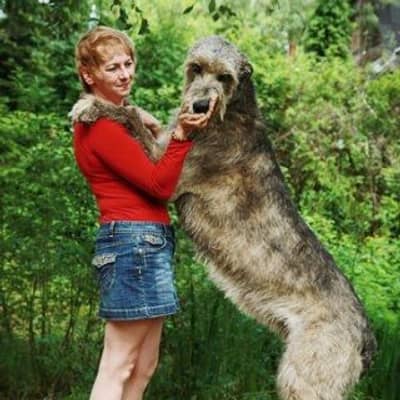 Ольга