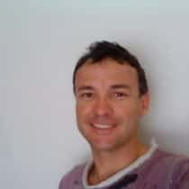 david