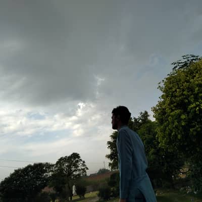 Suleman gill