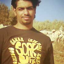 hay333