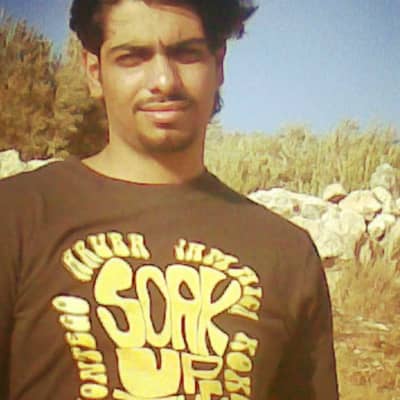 hay333