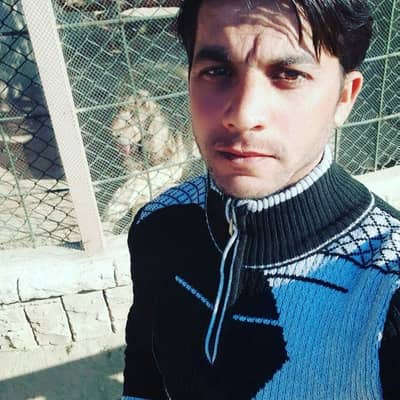 Yasir Raza Awan