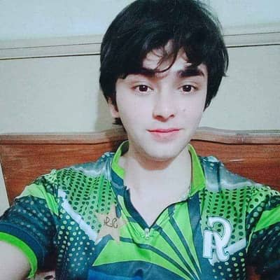 Shigri