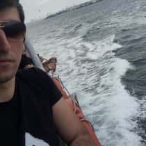david