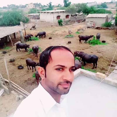 Affaan Haider