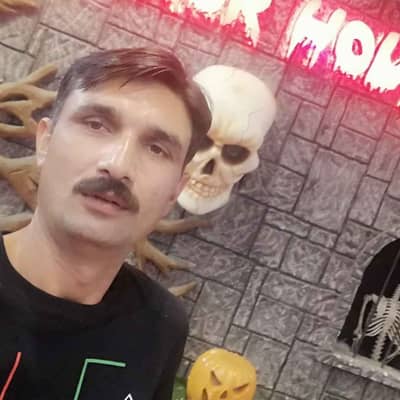 NAUMAN 594