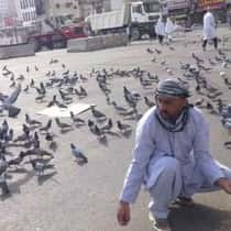 shahid raza