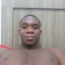 Collins milan