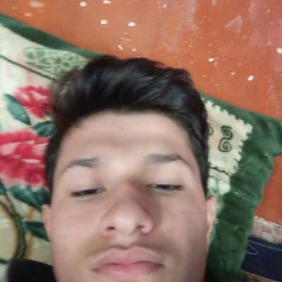 ziauddin