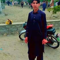 zakir Shahi