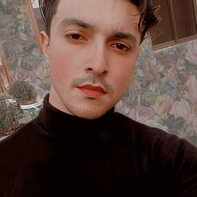 Hamza Sultan