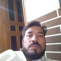 alizai