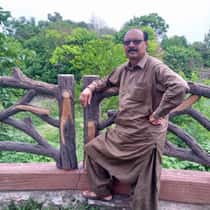 alvi