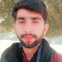 Amir Hussain