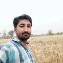Saleem