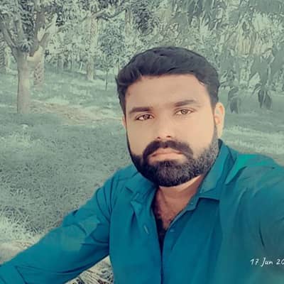 Majidsial