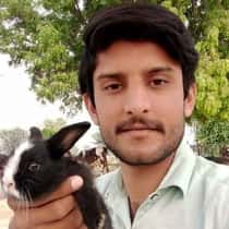 INZAMAM UL HAQ