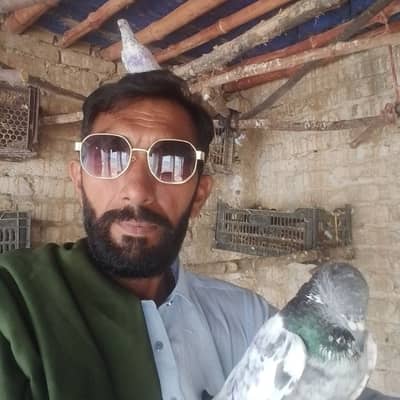 Awanmalik